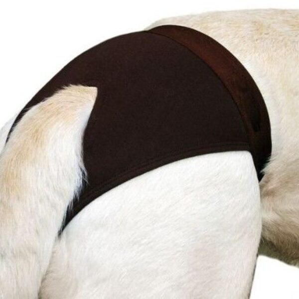 Pieluchy dla suczek Karlie 1 szt. (1204)