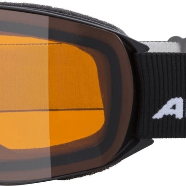 Gogle narciarskie Alpina NAKISKA DH (1407)