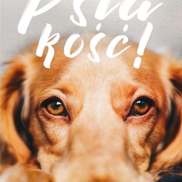 Psia kość ! Alejandro Palomas (G365)