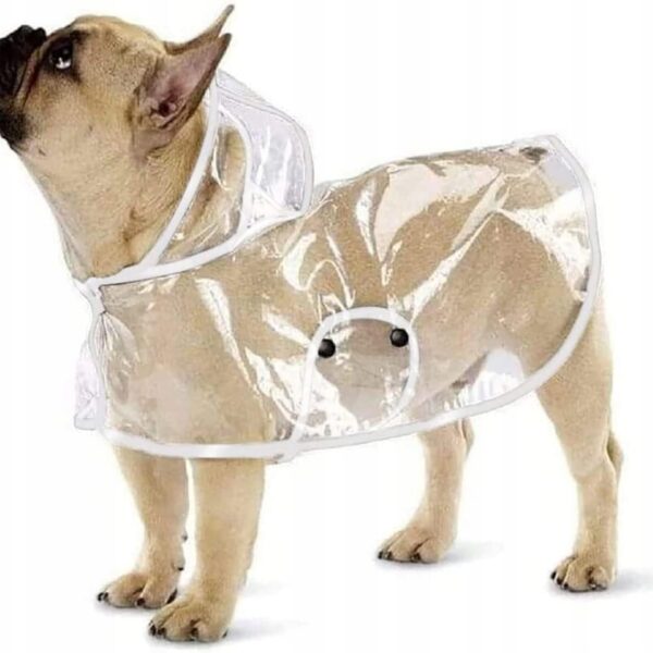 Kurteczka Ducomi Dogalize żółta rozmiar XS (B1884)